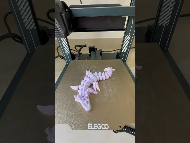 Flexi Water Dragon video thumbnail
