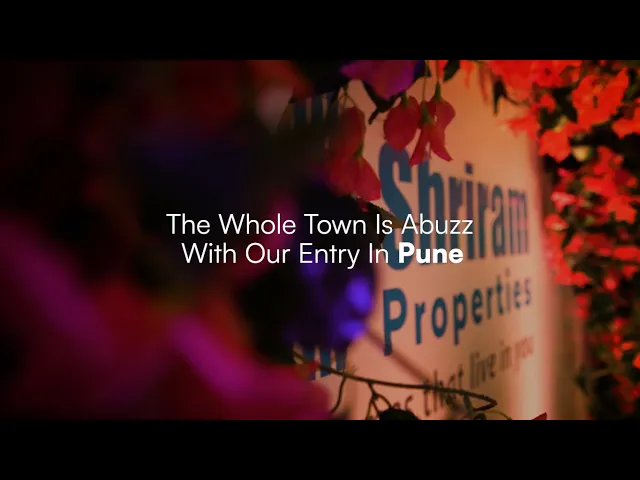 Project Video