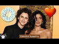 SOULMATE CONNECTION Kylie Jenner Timothy Chalamet s Synastry Chart
