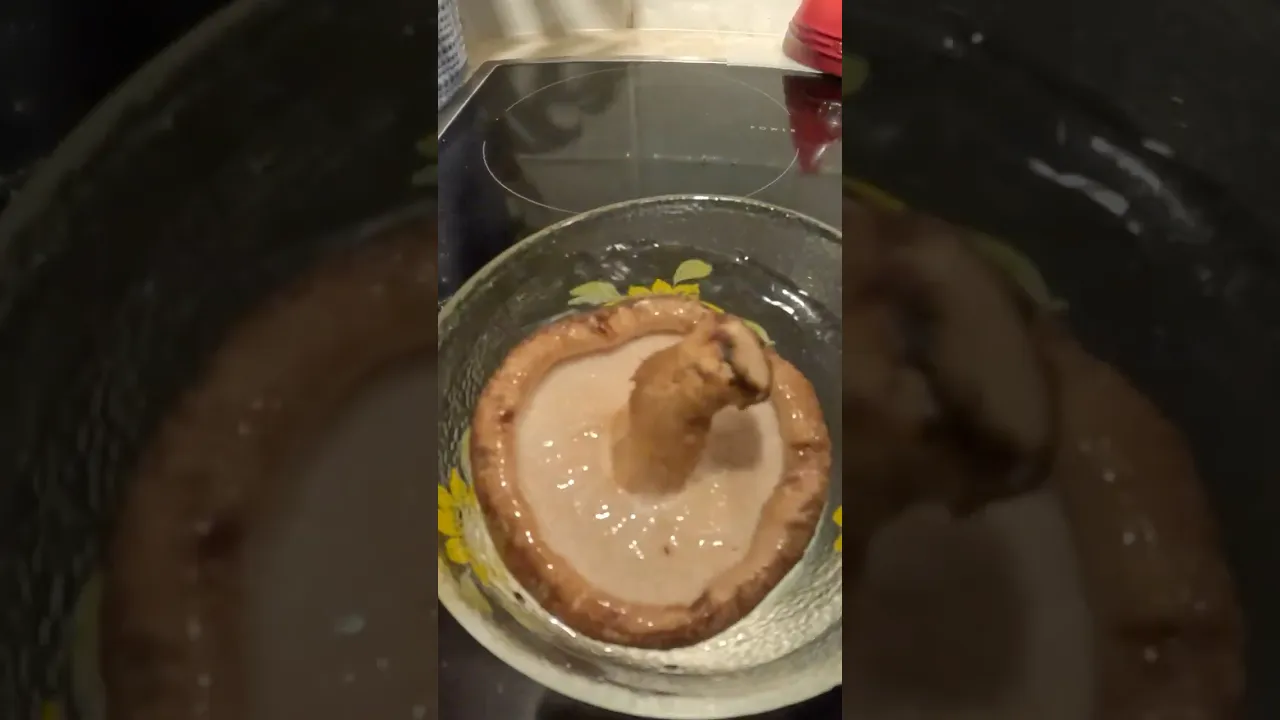 巨大椎茸の一本焼きがうますぎる！#cooking #簡単レシピ #料理