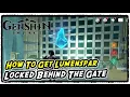 Lumenspar Locked Behind the Gate in The Chasm Main Mining Area Genshin Impact