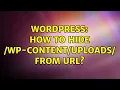 Wordpress How to hide wp- from URL
