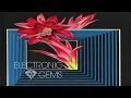 Download Lagu Voyage \u0026 Tape Arcade - Anemone Symphony