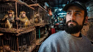 i infiltrated the black market of animals in asia