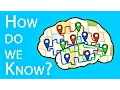 Which Parts Of The Brain Do What