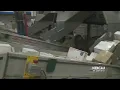 During Holidays USPS Facility Processes More Than 2 Mil Packages A Week