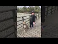 Sheriff s deputy accused of shooting killing neighbor s dog