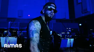 Yandel - Cual Es La Necesidad (Official Performance Video)
