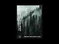 🇨🇦 Ancient Boreal Forest - Through The Mist Forgotten By Time (Full Album 2016) DungeonSynth/DA