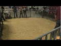 American Dorper Sheep Breeders Society Live Stream