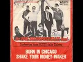 The Paul Butterfield Blues Band - Shake Your Money-Maker