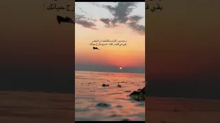 راشد الماجد وحشتيني فضلا وليس أمرا أشترك بلقناة 