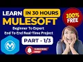 MuleSoft Full Course 30 Hours - Beginner to Advanced Free Real-Time Project Training Part-1