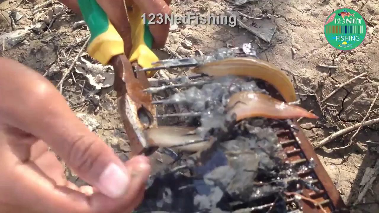 Amazing Incredible Trap Fishing | How To Catch Fish Video By Pliers |  Awesome Documentary Fishing