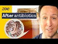 The gut health doctors The surprising truth about antibiotics probiotics