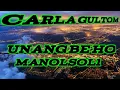 Download Lagu Carla Gultom - Unang Be Ho Manolsoli (Lirik) || Lagu Batak Terbaru 2021