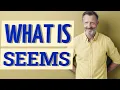 Seems Meaning of seems