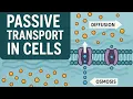 Passive Transport in Cells Diffusion Osmosis Membrane Movement Explained