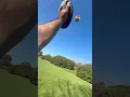 with the Velcro Ball
