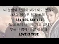 Download Lagu Say Yes - Punch ft. Loco - Hangul Lyrics