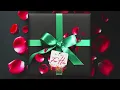 Hunxho - Worthless Visualizer