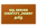SET IDENTITY - INSERT in SQL Server Tamil