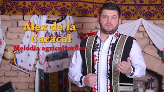 alex de la caracal melodia agricultorilor live 2018 