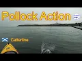 Download Lagu POLLOCK Action from the Kayak : Catterline : North East Scotland