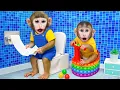 Download Lagu Monkey MoMo \u0026 Monkey Nana driving a tractor overturns, then cleans the toilet with baby monkey