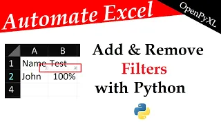 Automate Excel Filters in Python OpenPyXL Tutorial