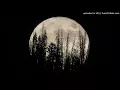 Leon Bridges - Bet Ain't Worth the Hand - Lyrics