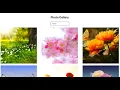 How to create Image Gallery using react js within 30min