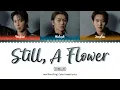 CNBLUE (씨엔블루) - Still, A Flower (그러나 꽃이었다) Lyrics [Color Coded-Han/Rom/Eng]
