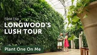LONGWOOD GARDEN'S  FOLIAGE Tour is LUSH as Ever! — Ep. 442