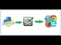 Run Automated tests in the CI runner written with Python Selenium