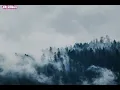 Abhijit Vaghani, Neeti Mohan - Kithe Reh Gaya (Lyrics)