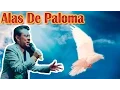 Download Lagu Alas de Paloma-Julio Elias