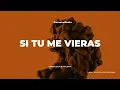 Carin Leon , Maluma - Si tu me vieras (Karaoke)