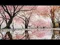 Download Lagu Lenteregensfeer - Ontspannende regen- en vogelgeluiden om in slaap te vallen met vallende kersenbloesems