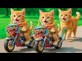 Lagu Kittens Drive Fire Dragon Motorbikes 🚓 on a Revenge Mission to Rescue Mama Cat from a Bully💥🐱