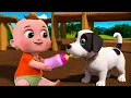 Baby Bingo Song New Compilation | Old MacDonald Had A Farm | Nursery Rhymes \u0026 Kids Songs Baby Angel