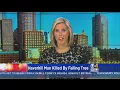 Falling Tree Kills Man In Haverhill