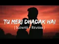 Download Lagu Tu Meri Dhadak Hai (Slowed + Reverb) | Vishal Mishra | Dhadak 2 | MFS Lofi