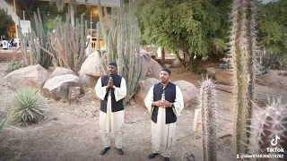 تأذن فجر عودتنا يقينا دندنها