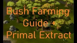 Runescape 3 Bush Run Farming Guide Making Primal Extract