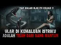 ULAR DI KEMALUAN ISTRIKU || TELUH DARI SANG MANTAN - CERITA HOROR