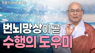 염불하다 딴생각 날 때 어떡하죠 그 번뇌망상을 일으킨 주인은 누구인가 | 나를 찾는 조사선 목종스님의 선 클래스 5화