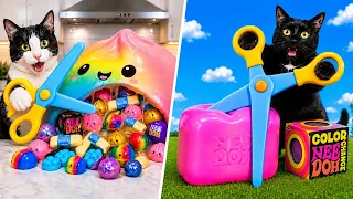 ¿QUÉ HAY DENTRO de los DUMPLINGS SQUISHY? CORTO SQUISHIES VIRALES con mis gatos y encuentro esto 🙀