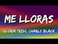 Gloria Trevi - Me Lloras ft. Charly Black (Letra\Lyrics)