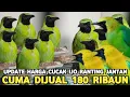 Download Lagu CEK HARGA CUCAK IJO JANTAN CUCAK RANTING JANTAN SERBA 180 RIBUAN DI PASAR BURUNG PRAMUKA 